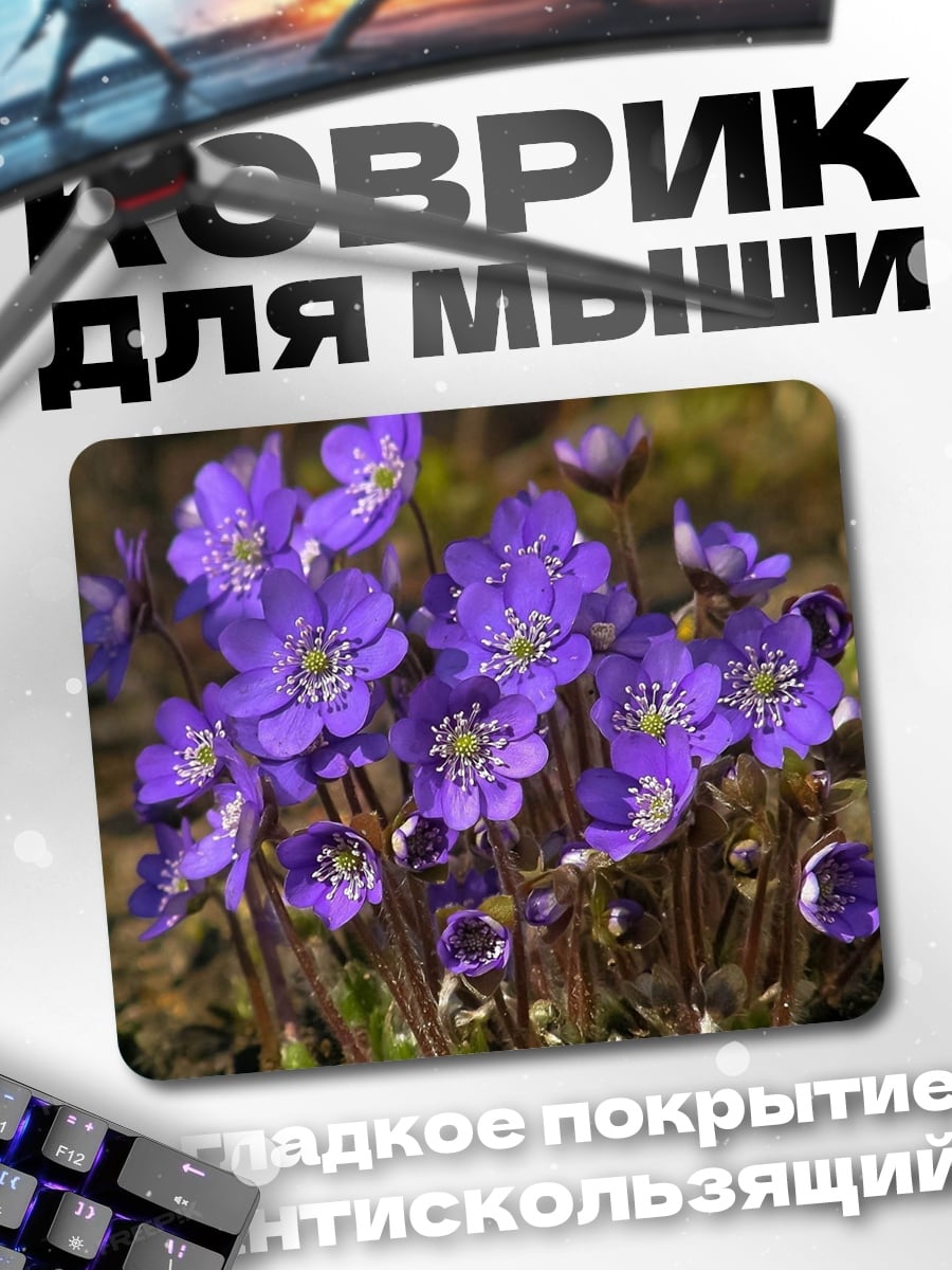 Коврик Весенние цветы