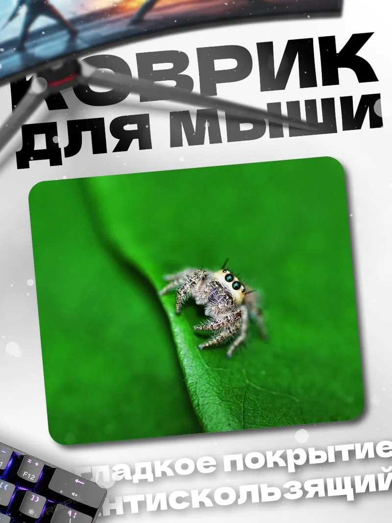 Коврик паук на листе