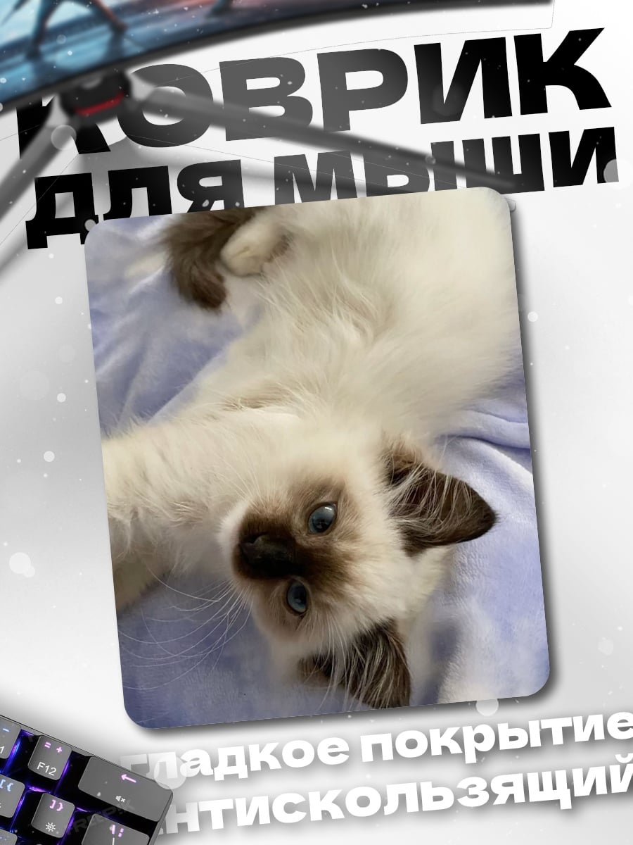 Коврик Пушистый кот лежит