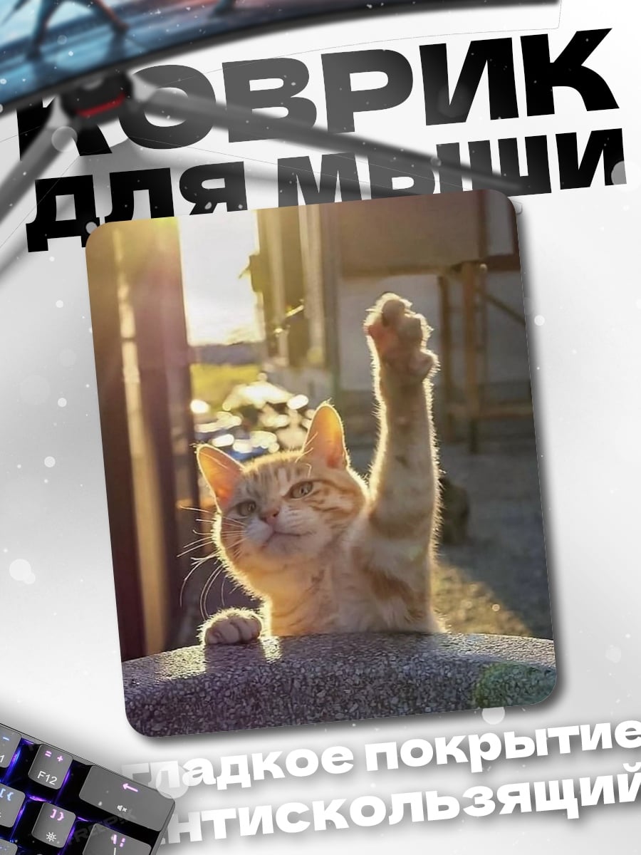 Коврик Кот поднимает лапу