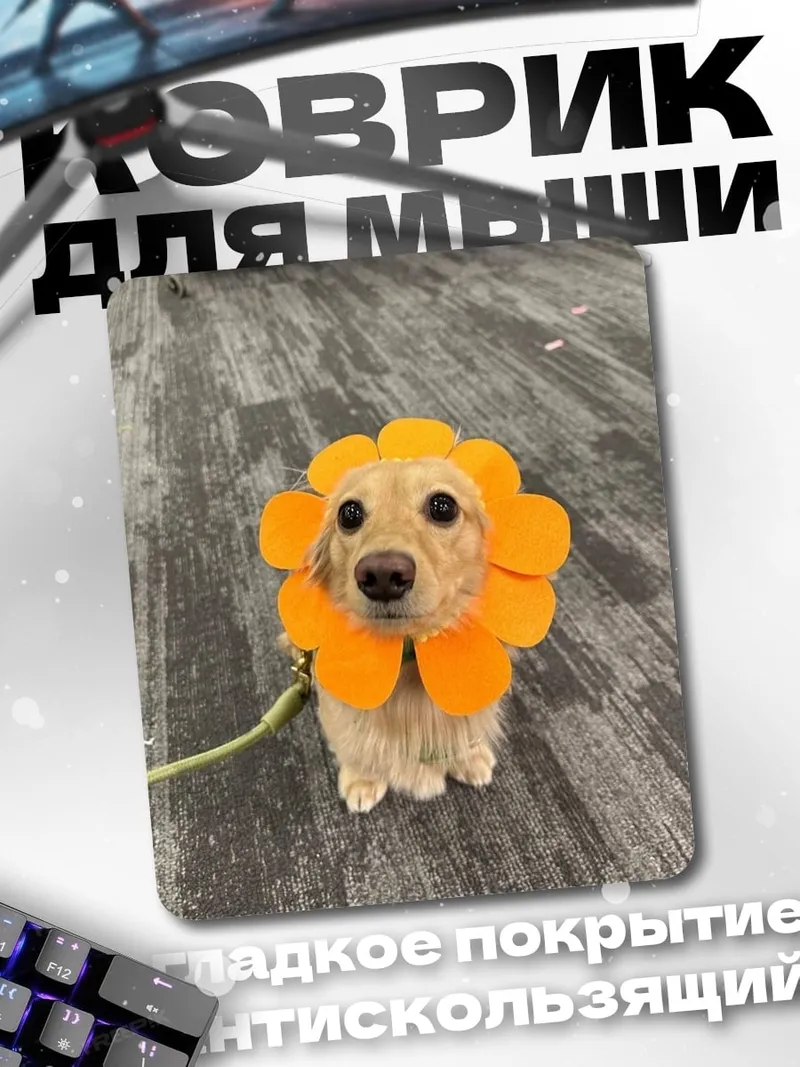 Коврик Собака в костюме цветка