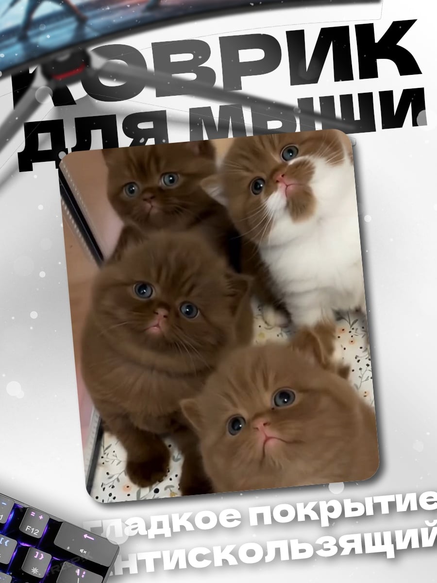 Коврик Четыре котенка