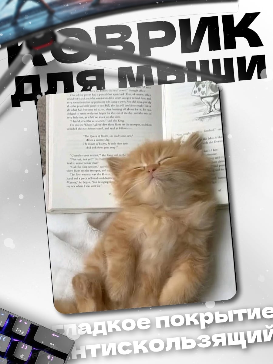 Коврик Спящий котенок на книге