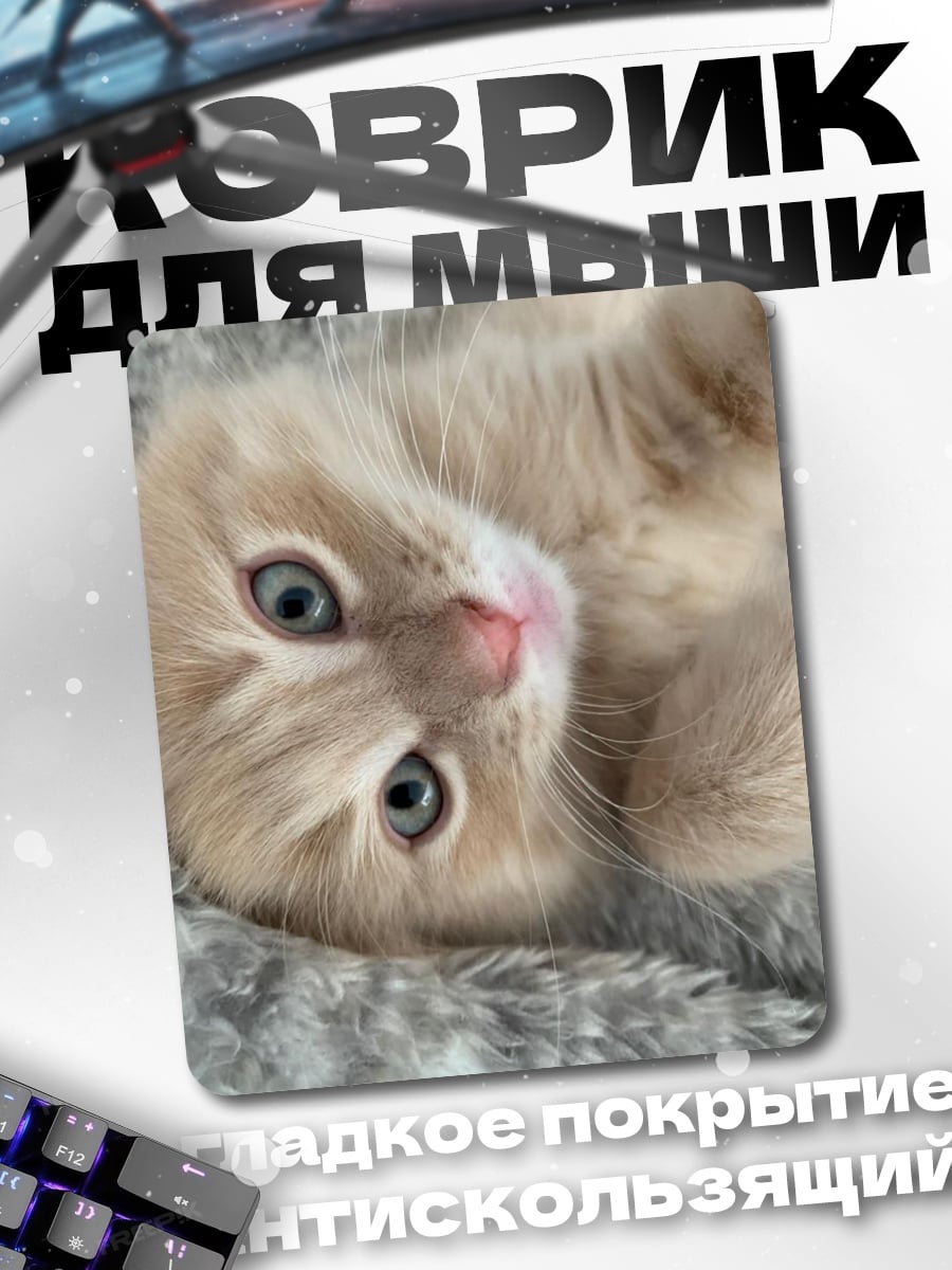 Коврик Пушистый котенок