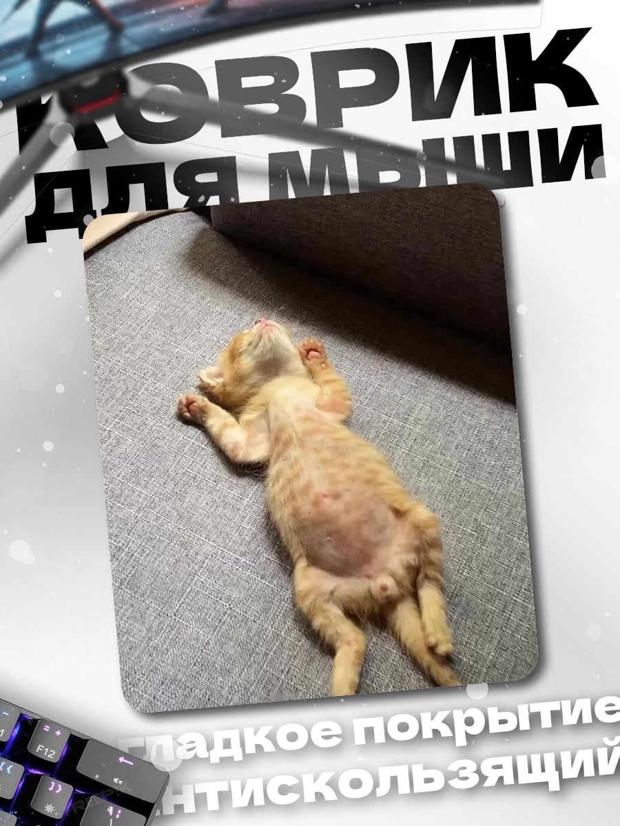 Коврик Спящий кот