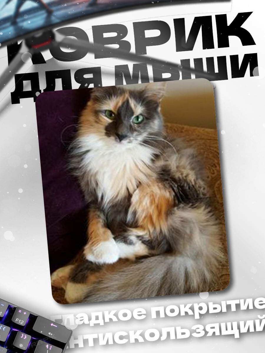 Коврик Кошка на диване