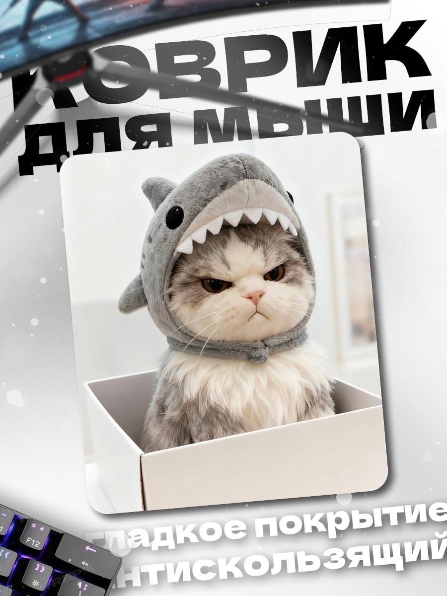 Коврик Кот в шапке акулы