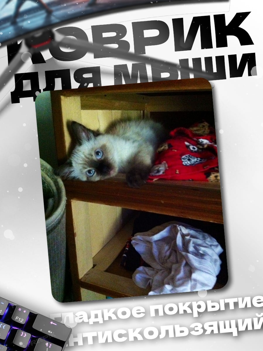 Коврик Котёнок на полке