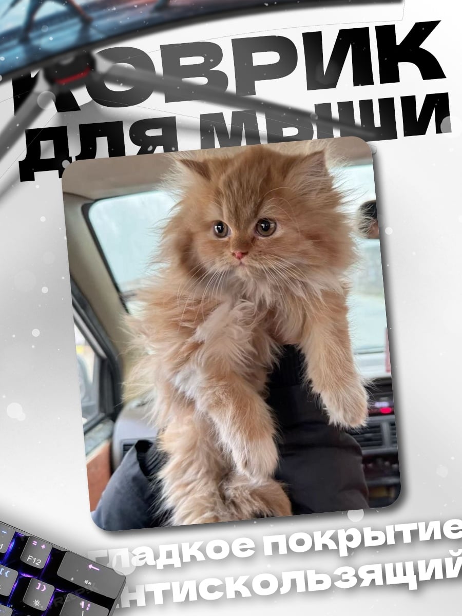 Коврик Рыжий пушистый котенок