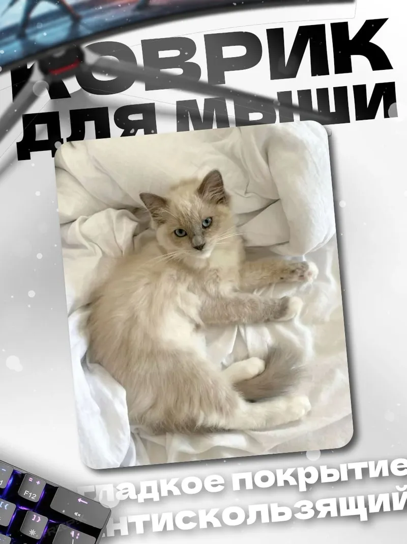Коврик Пушистый кот на кровати