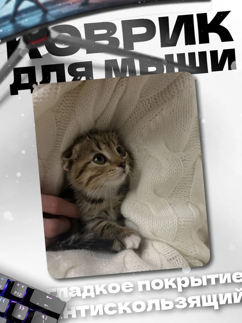 Коврик Котёнок в пледе