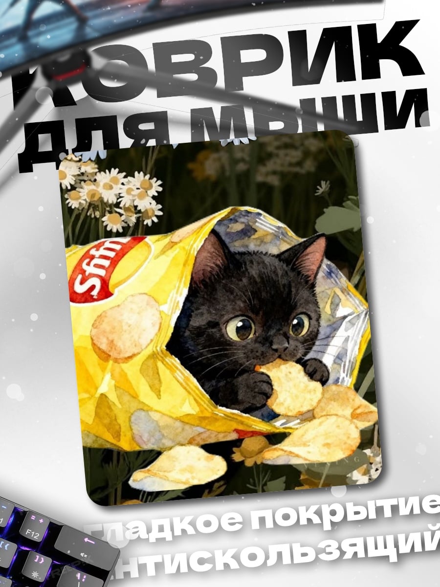 Коврик Черный кот чипсах