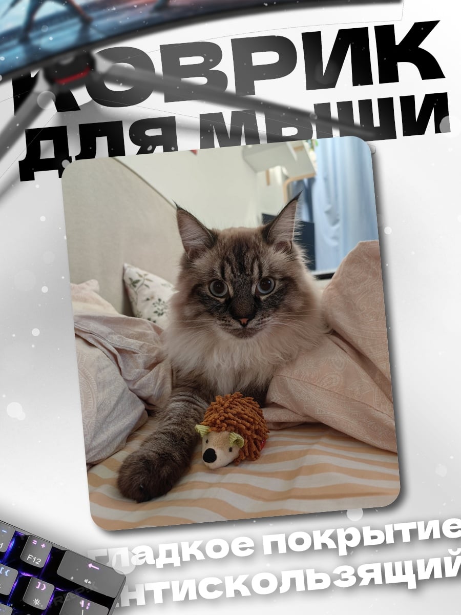 Коврик Пушистый кот с игрушкой