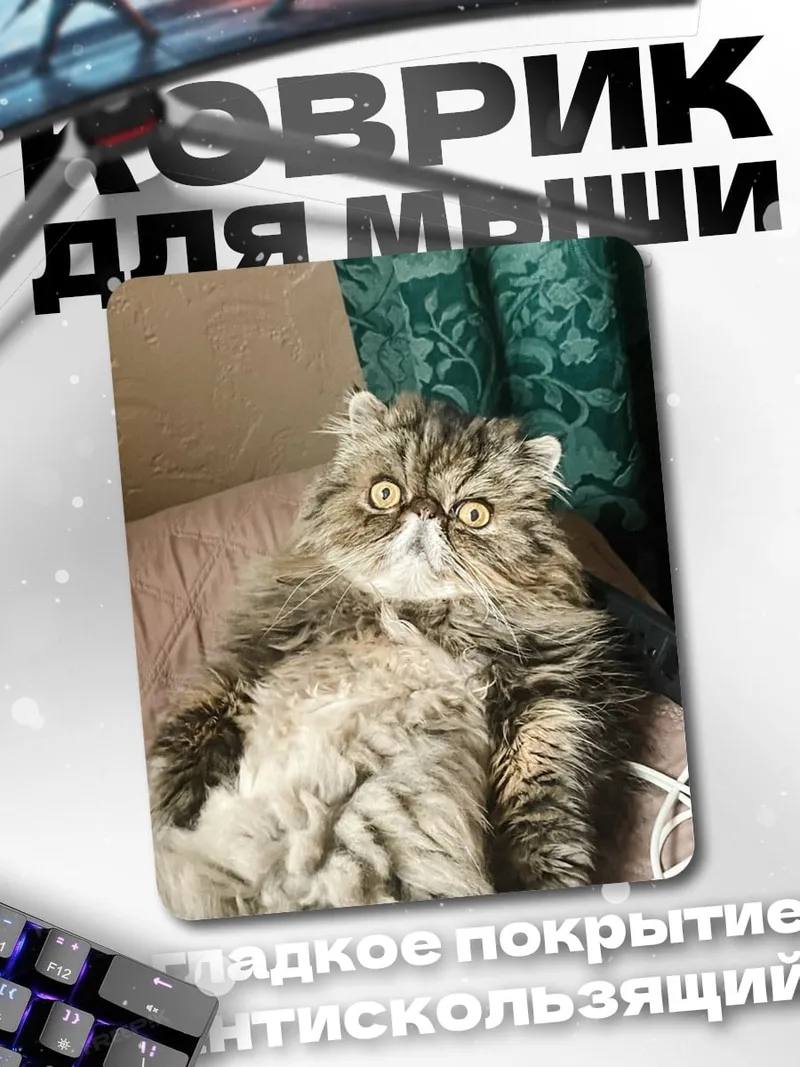 Коврик Пушистый кот на диване