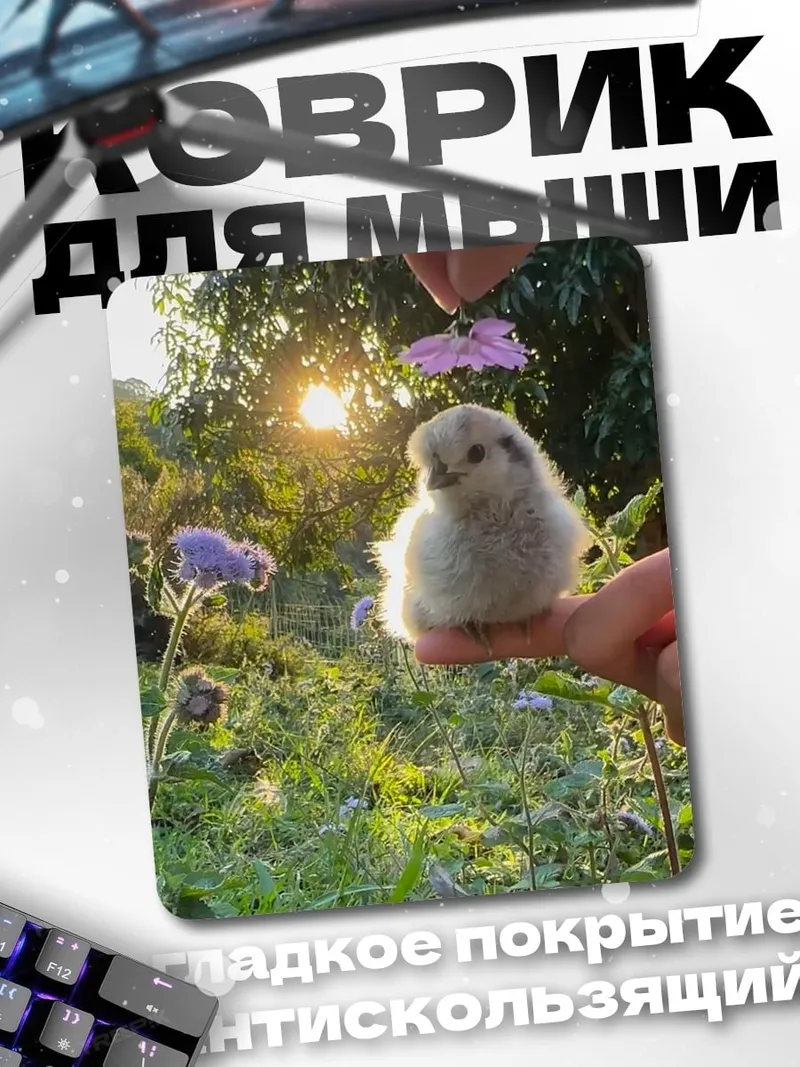 Коврик Пушистый цыпленок на пальце