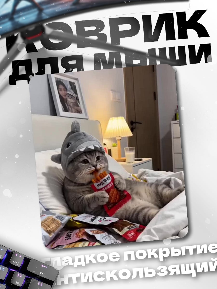 Коврик Кот в шапке акулы