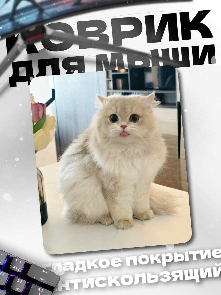 Коврик Пушистый кот