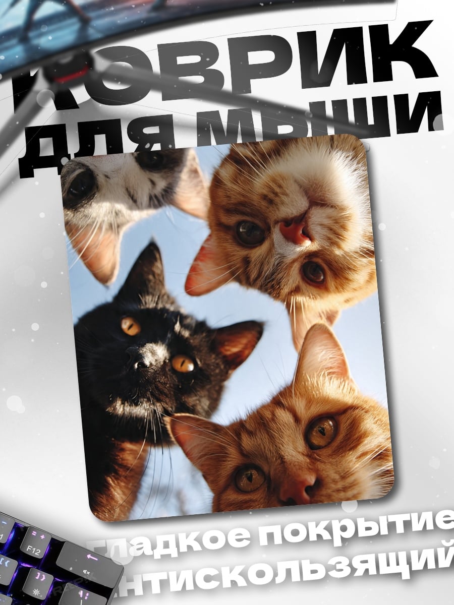 Коврик Четыре котенка смотрят вверх