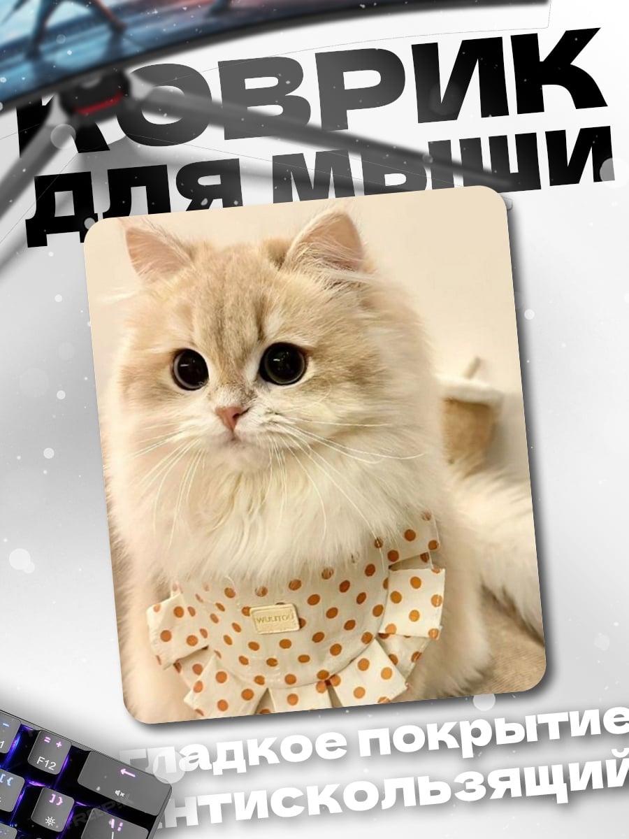 Коврик Пушистый кот в бандане