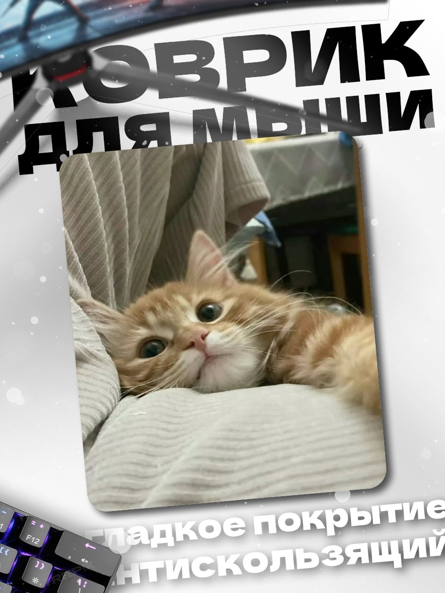 Коврик Рыжий котенок на руках