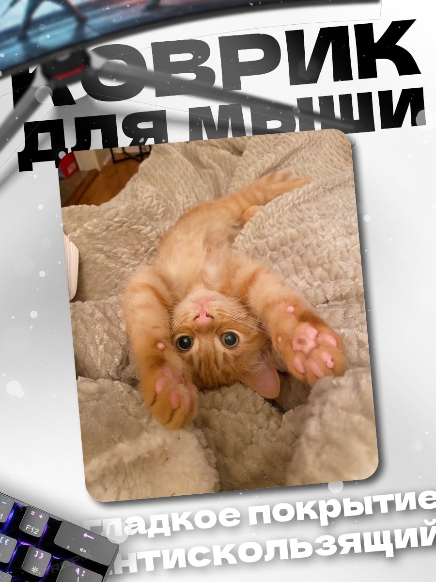 Коврик Котёнок на одеяле