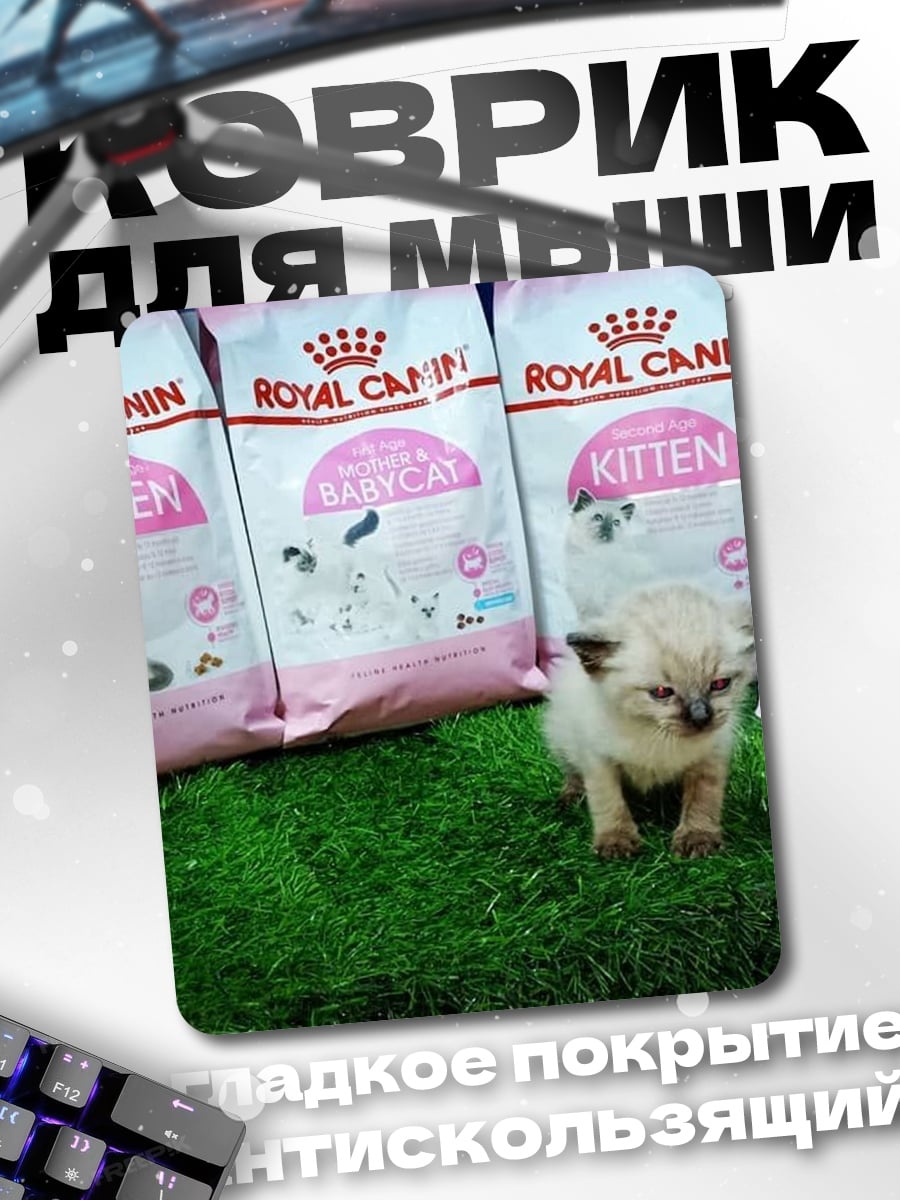 Коврик Котёнок и корм