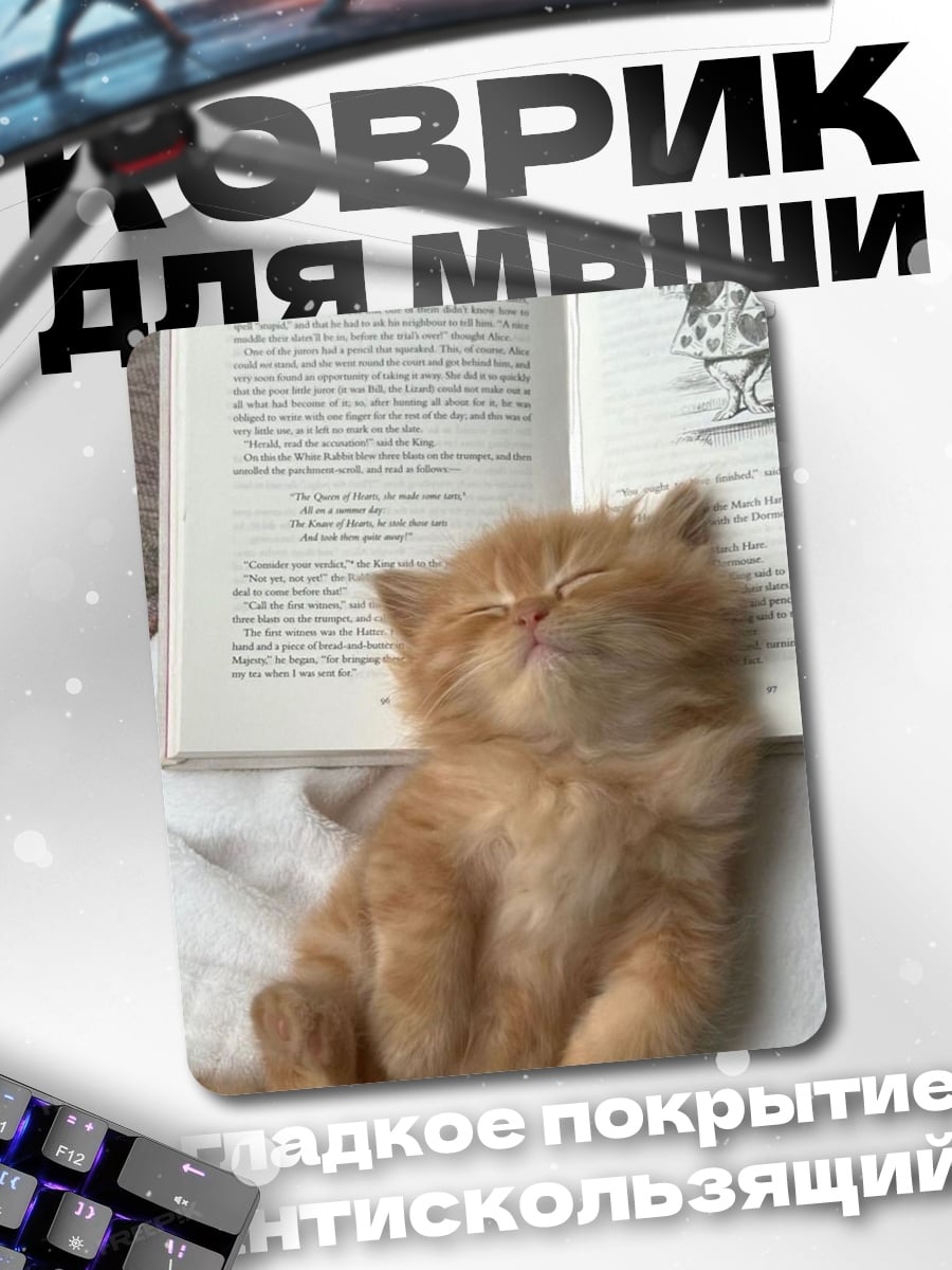 Коврик Кот спит на книге