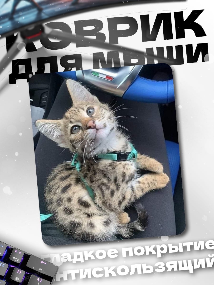 Коврик Котёнок бенгал в машине