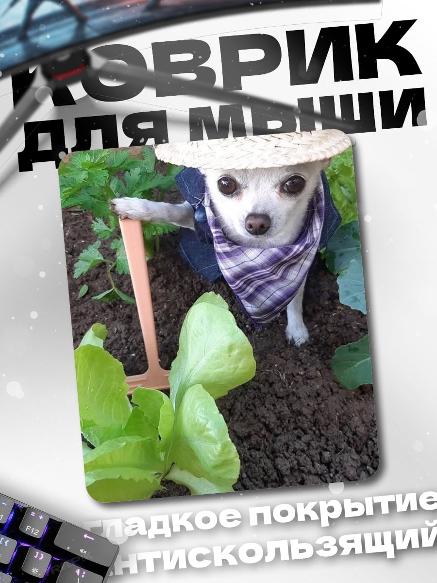 Коврик Чихуахуа садовник