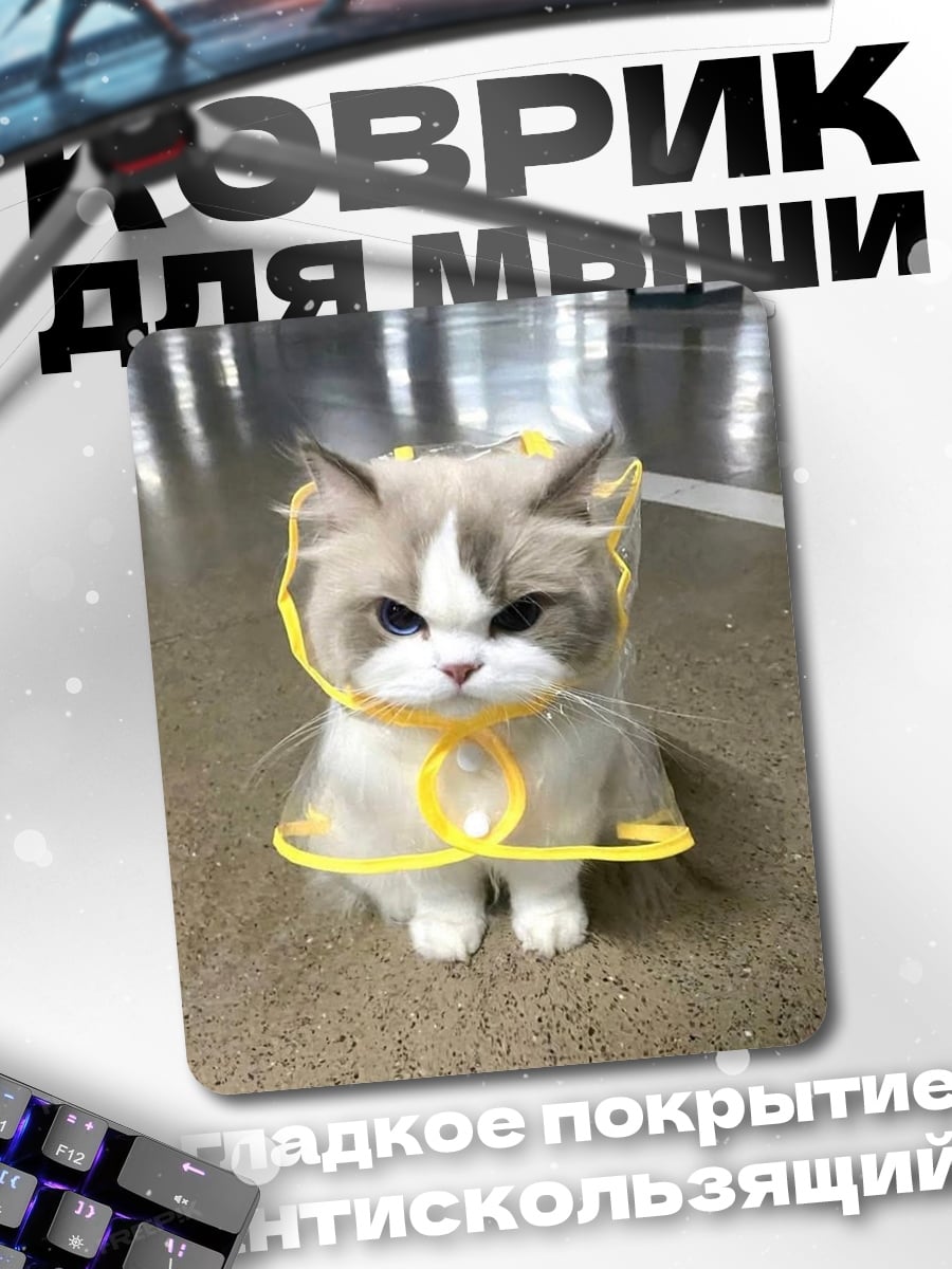 Коврик Сердитый кот в дождевике