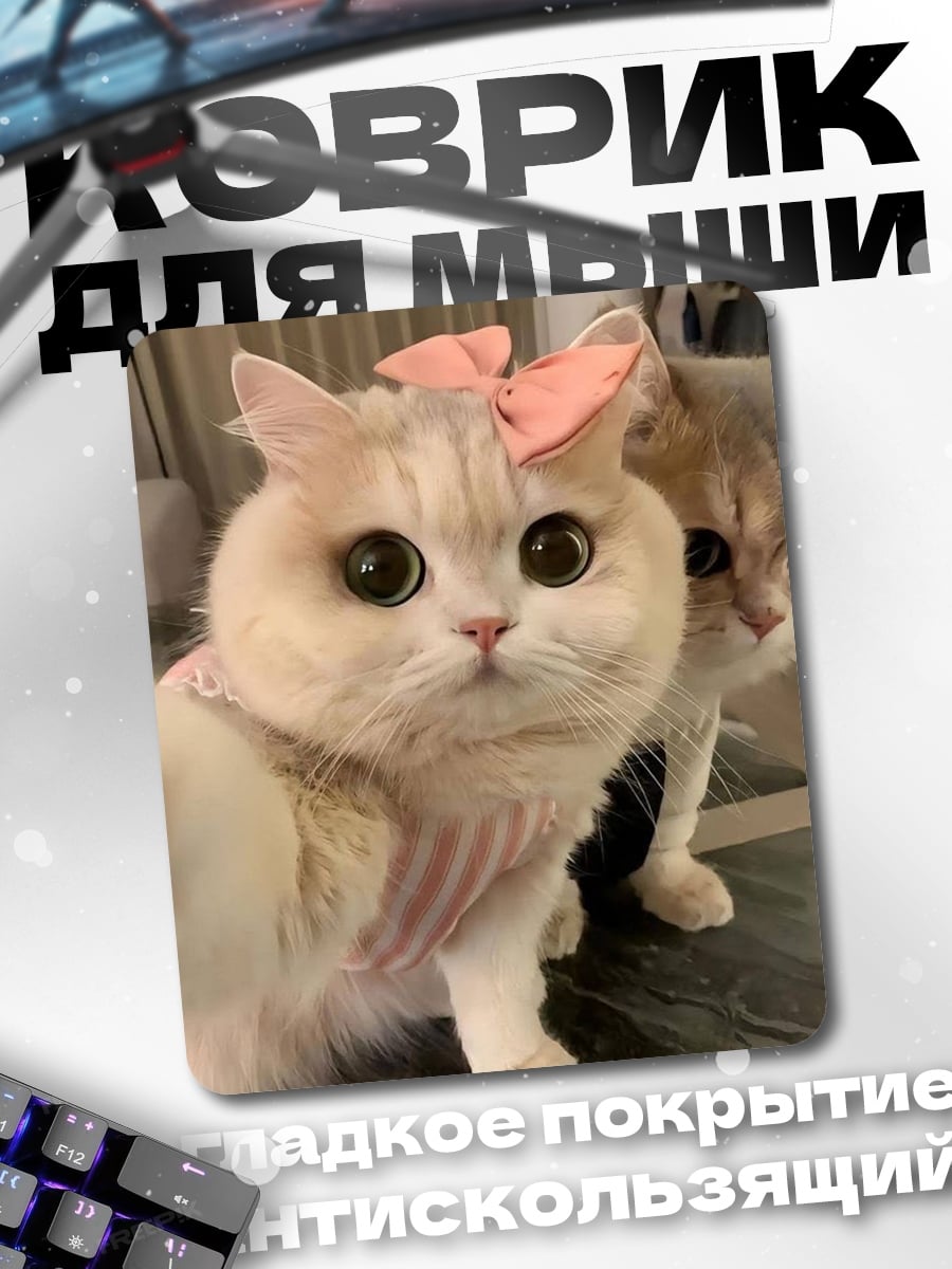 Коврик Котёнок селфи
