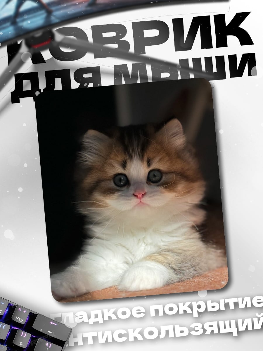 Коврик Пушистый котенок смотрит