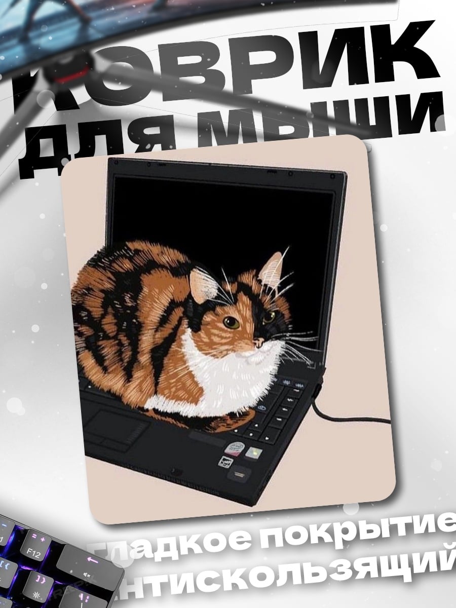 Коврик Кот в ноутбуке