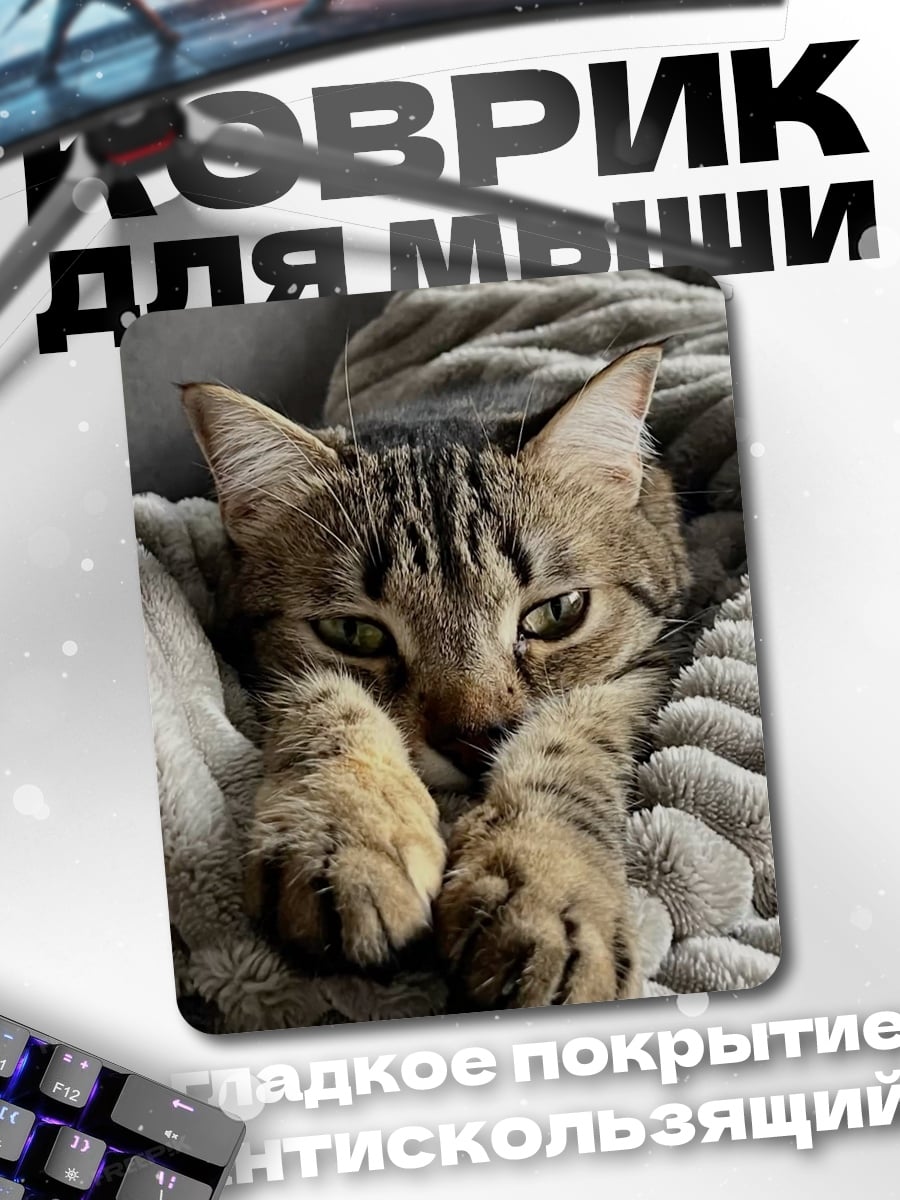 Коврик Кот в пледе