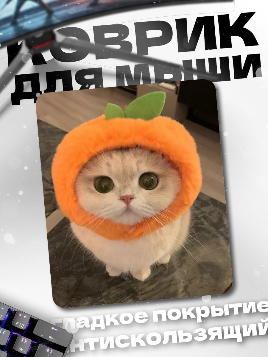 Коврик Кот в шапке