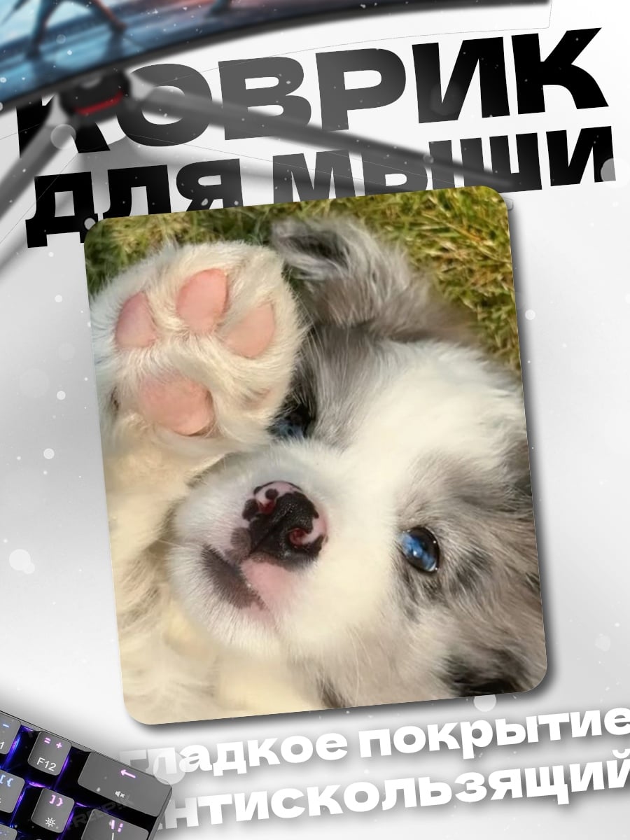Коврик Щенок играет лапой