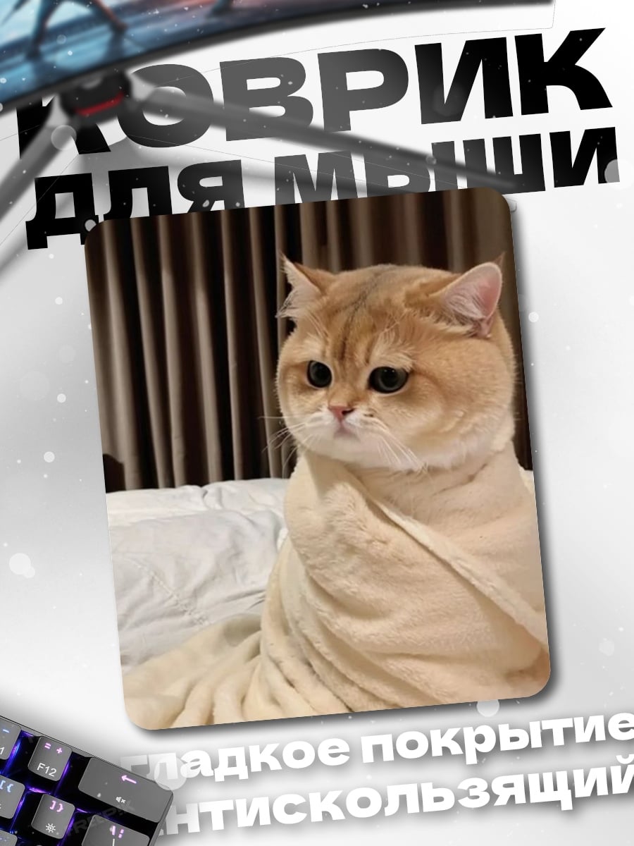 Коврик Кот в пледе