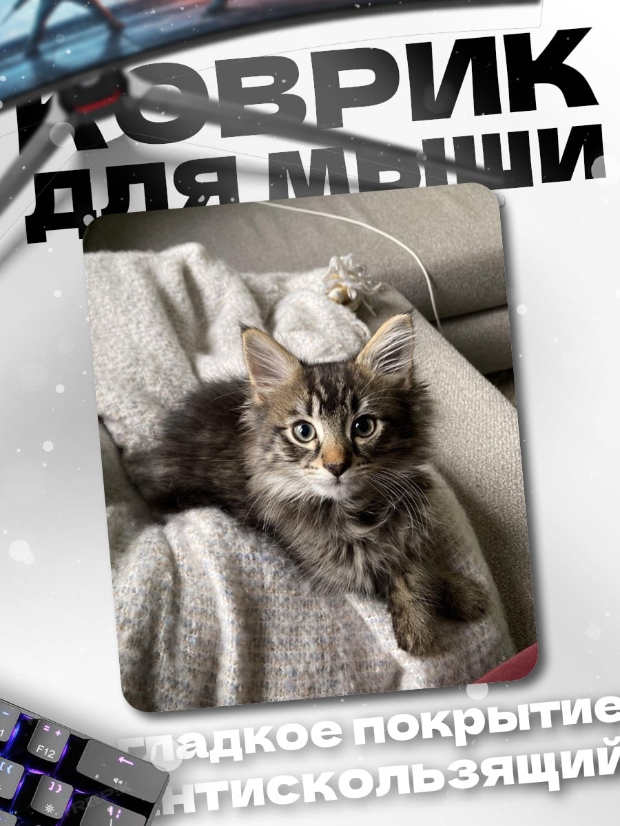 Коврик Пушистый котенок