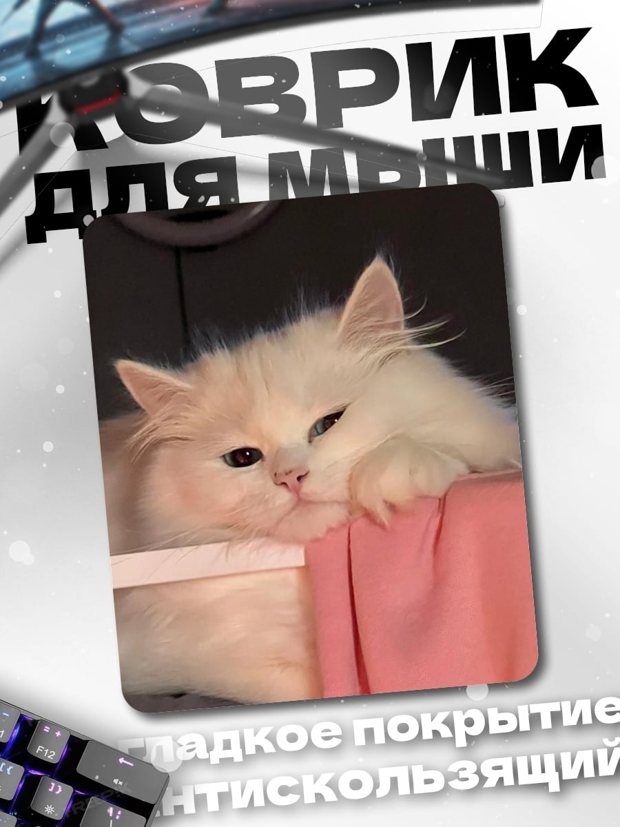 Коврик Пушистый кот