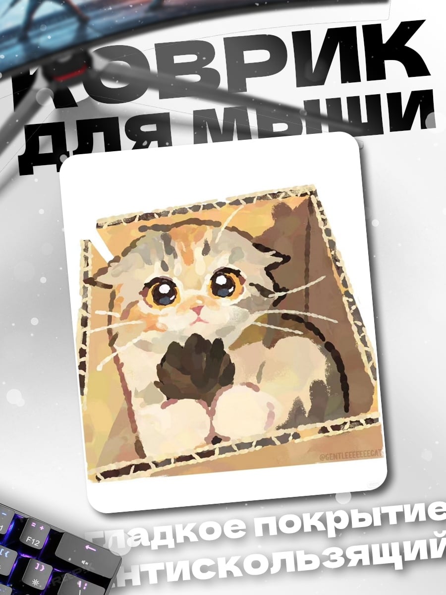 Коврик Котёнок в коробке