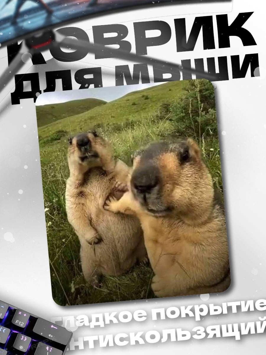 Коврик Два сурка в поле