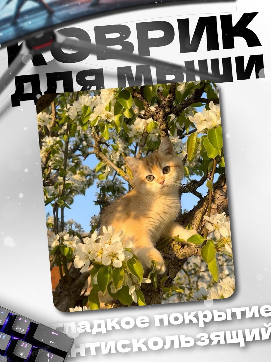 Коврик Котёнок в цвету