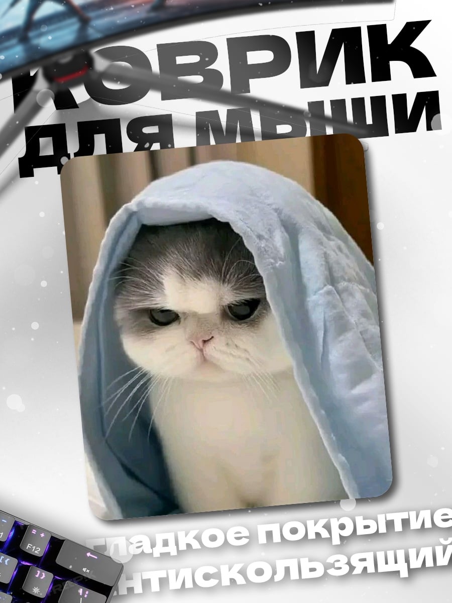 Коврик Угрюмый кот под пледом