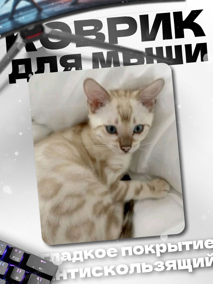 Коврик Бенгальский котенок