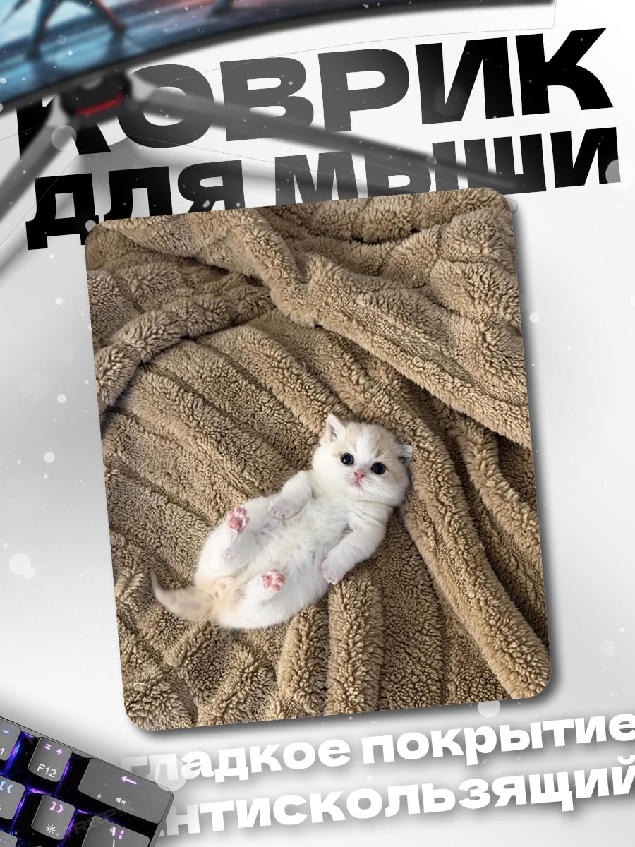 Коврик Котёнок на пледе
