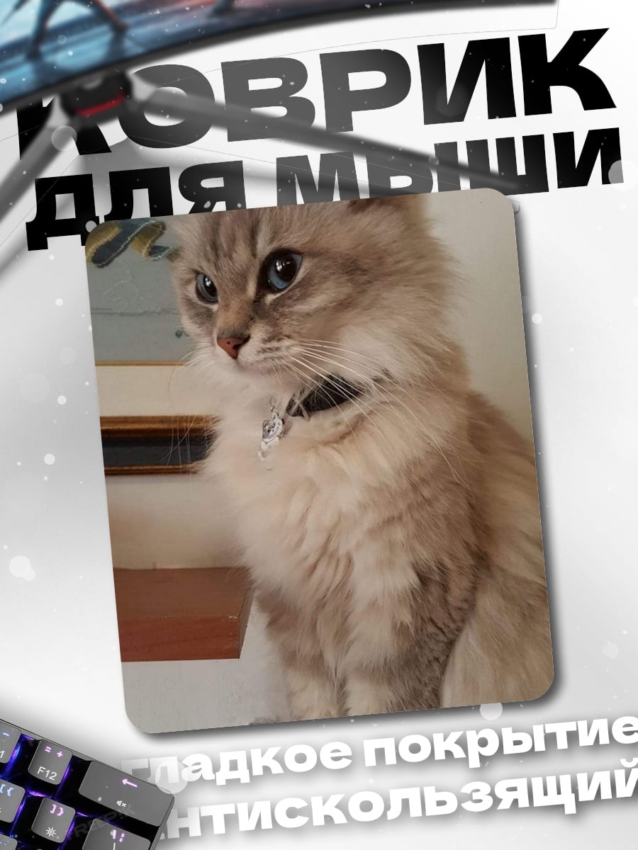 Коврик Пушистый кот сидит