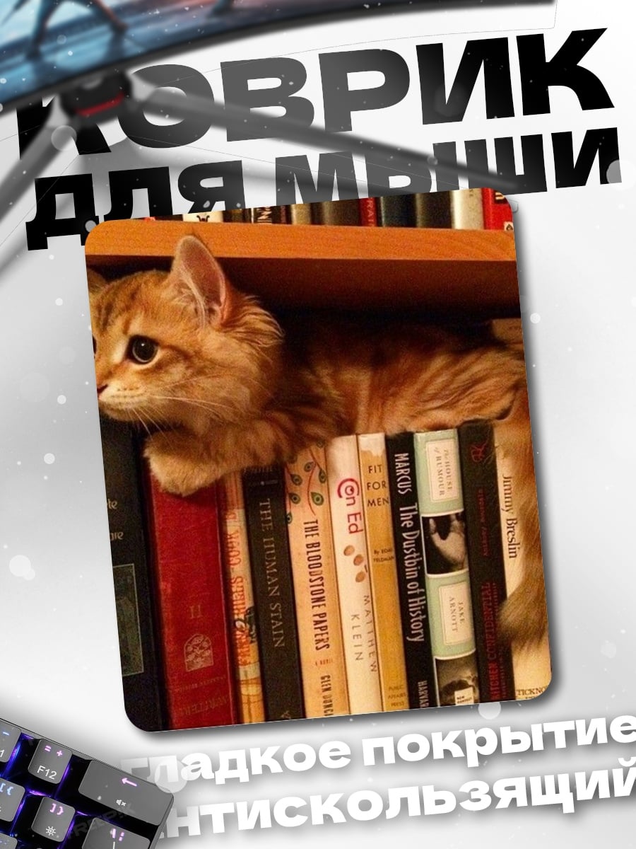 Коврик Кот на книжной полке