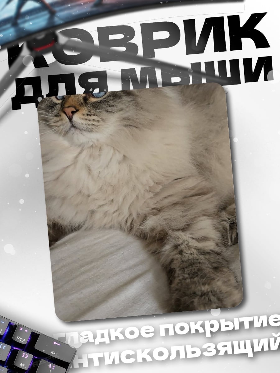 Коврик Пушистый кот с голубыми глазами