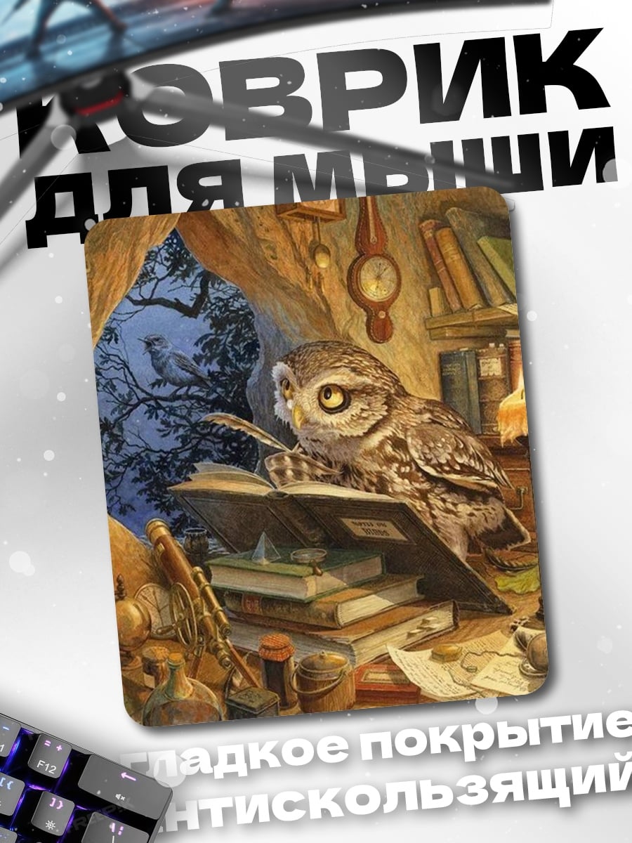Коврик Мудрая сова читает