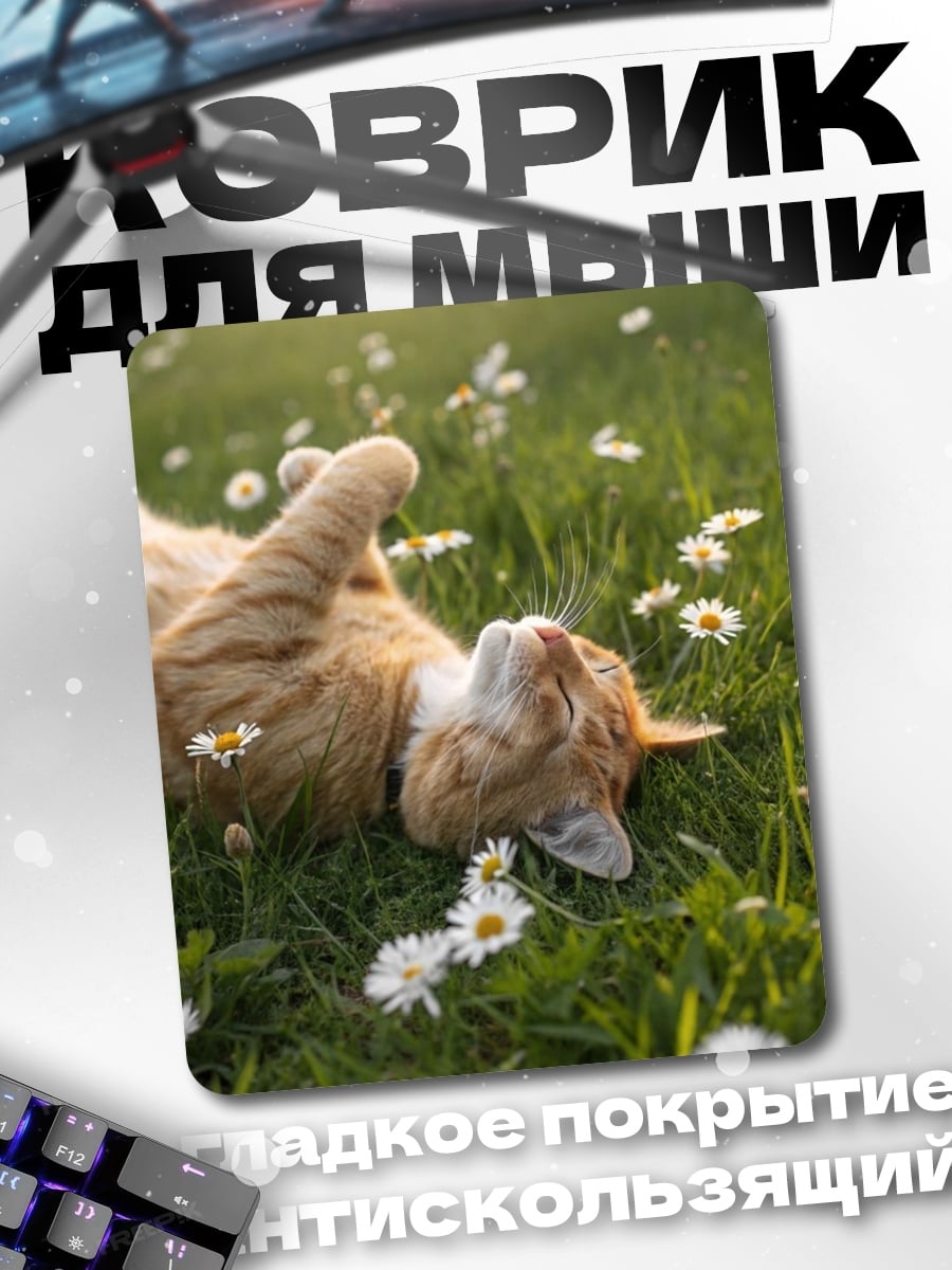 Коврик Рыжий кот на траве
